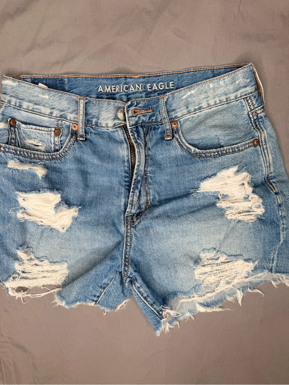American Eagle Outfitters Light Blue Distressed Cutoff Jean Shorts